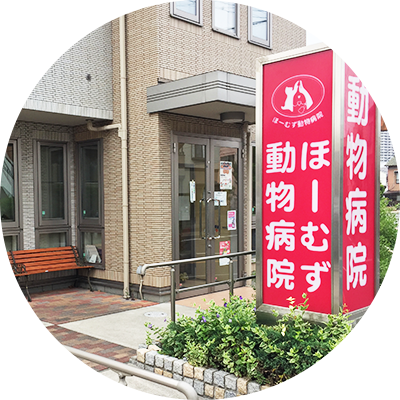 ほーむず動物病院 外観