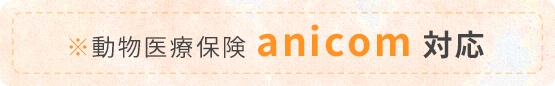 ※動物医療保険　anicom　対応