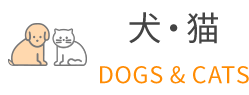 犬・猫 DOGS & CATS